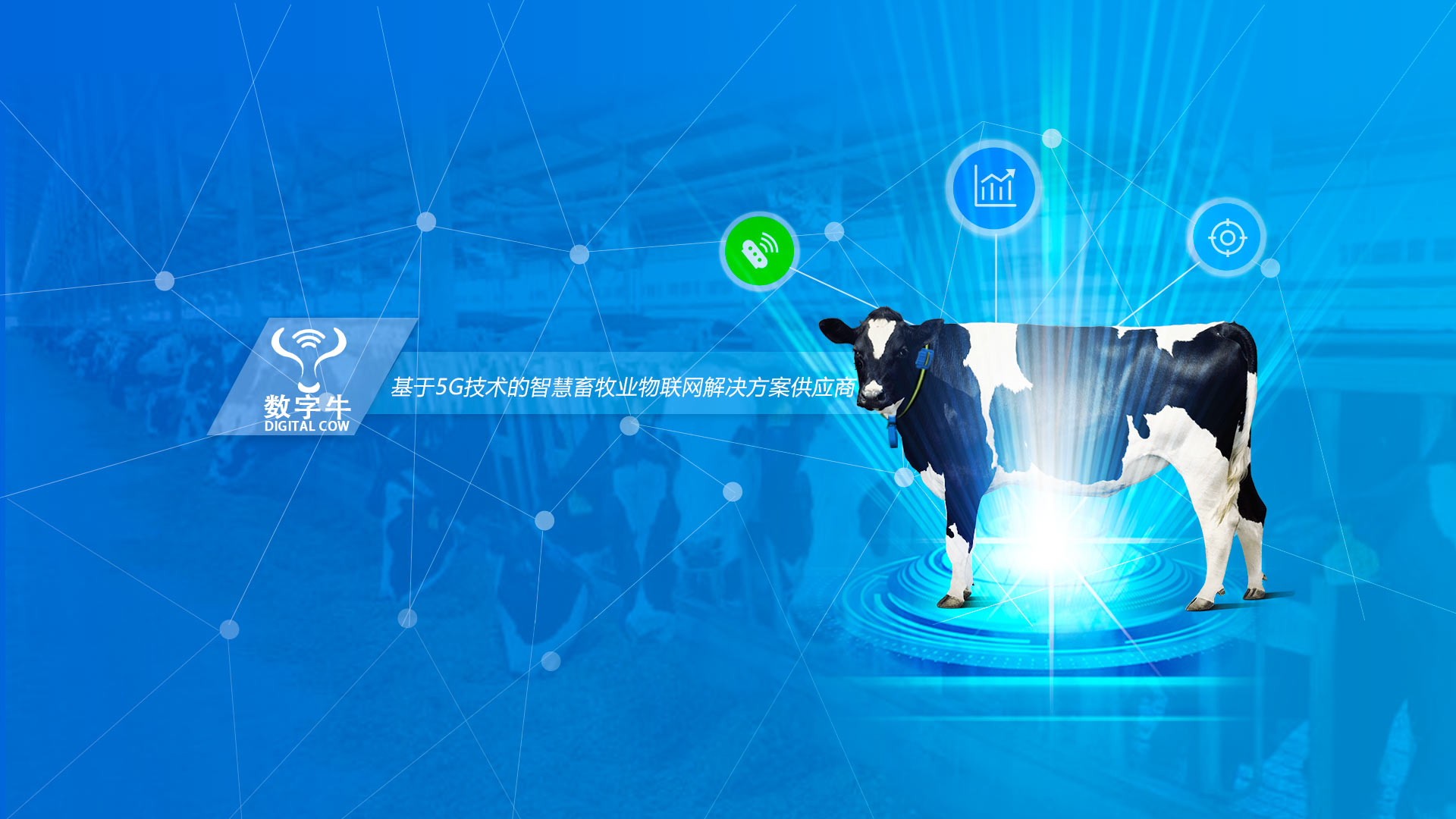 银川奥特信息技术股份公司